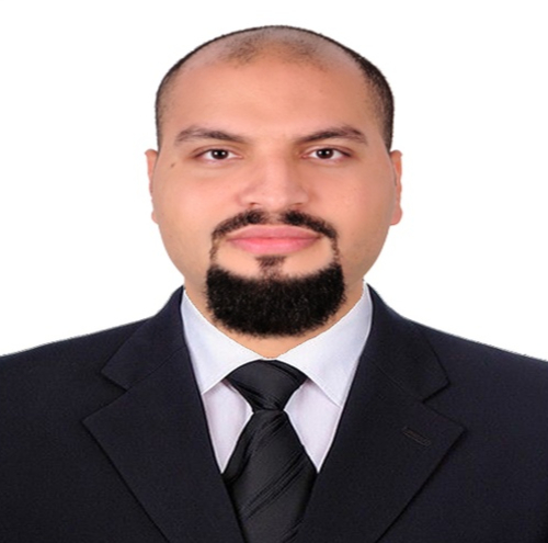 Fayd Reda Bedir Arafa